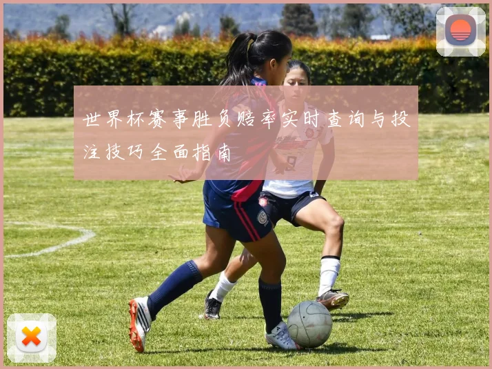 世界杯赛事胜负赔率实时查询与投注技巧全面指南