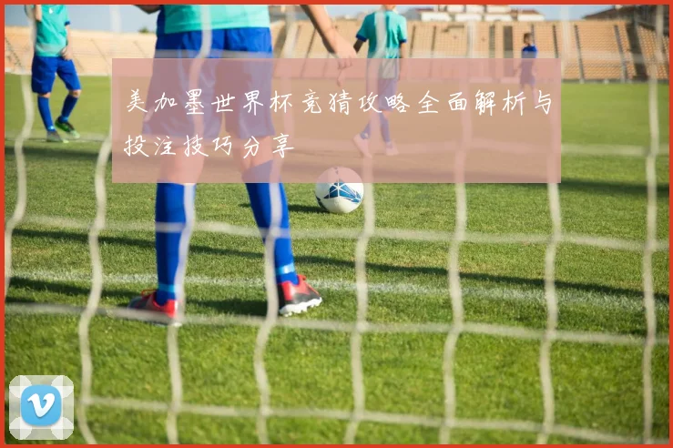 美加墨世界杯竞猜攻略全面解析与投注技巧分享