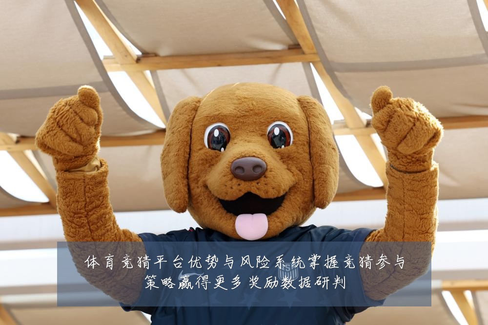 体育竞猜平台优势与风险系统掌握竞猜参与策略赢得更多奖励数据研判