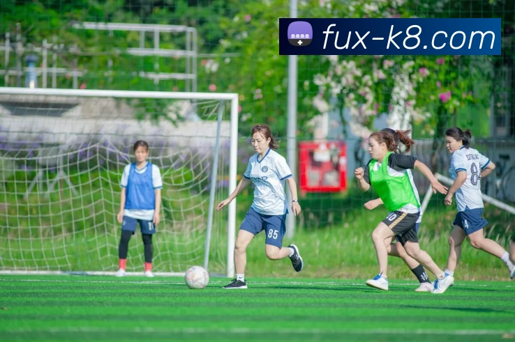 凯发娱乐平台展示图